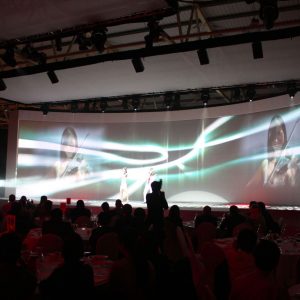 electric violinist huawei2 linzi stoppard